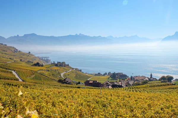 Terrasses de lavaux: Everything you need to know about the gorgeous Swiss wine trail